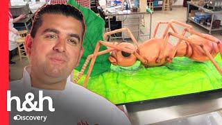 Buddy cria um bolo de "formiga gigante" para museu de ciências naturais | Cake Boss | H&H Brasil