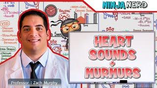 Heart Sounds & Murmurs | Clinical Medicine