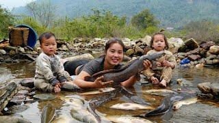 How to block water, catch giant fish and bring them to the market to sell with my little daughter