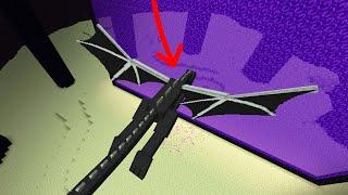 what if the ender dragon goes to nether?