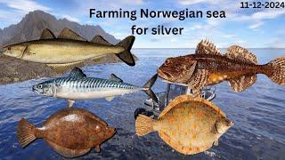 Norwegian sea farming | Farming | Chill Stream| Nanstein | Russian fishing 4