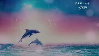 Pink Dolphin Healing Meditation  粉红海豚 爱之疗愈