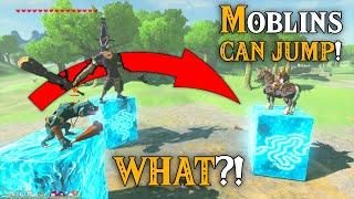 WHAT?! Moblins CAN JUMP Too in Zelda Breath of the Wild
