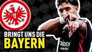 Bayernjäger Eintracht Frankfurt | Bundesliga News