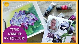 SENNELIER WATERCOLOURS (Billy Showell Botanical set) & hydrangea PAINTING DEMO in my sketchbook