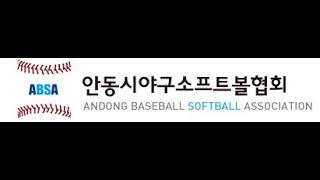 2025 06 15 13:00 안동제2구장 진보라이온즈 vs 안동한울타리B