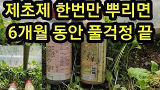 이것 제초제 한번만 뿌리면 칡뿌리까지 한방에 죽일수 있습니다