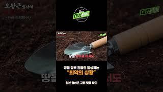 파묘 산소나 땅을 잘못건들이면 생기는 충격적인 일들#무당#점집추천