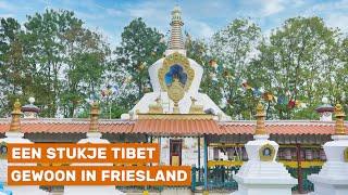 A Tibetan monastery in The Netherlands