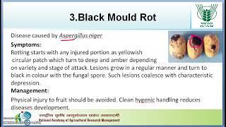 Postharvest diseases of Mango