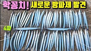 처음간 방파제에 4짜 돼지학꽁치+마릿수 출현!주차후1분 발편한 캠핑낚시 강추!거제도 73개 방파제 모두정복하기65화(동호)