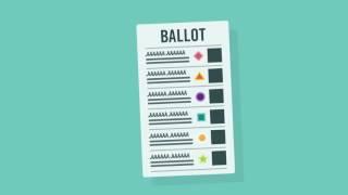 Scotland voter info   How to fill in the ballot paper