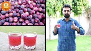 Refreshing Falsa Juice by Tasty Treat Plus