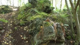 codnor park forge site slag heaps - an updated video is now online