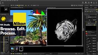 NIKON NX Studio HONEST Review & Full Tutorial For Beginners [IMPORT, LOCAL ADJUSTMENTS TO EXPORT ]