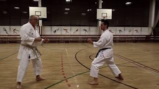 Kumite Training 2 w/ Sensei Gyula Büki, 7th Dan Shotokan Karate