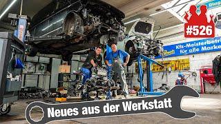 Motoren-Schlachtfeld! TSI-Ölabstreifringe nutzlos?!  | Ölkühler-Wahnsinn im VW T6 2.0 TDI! ‍️