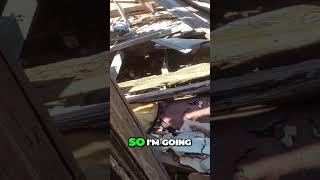 Rattlesnake Inside This Abandoned House!