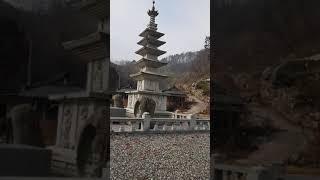 금산군  목소리  수정사.