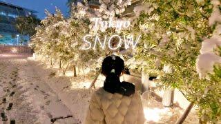 Tokyo Heavy Snow For the first time in 4 years / 4年ぶりの東京大雪を満喫️ 雪だるま作りチャレンジ