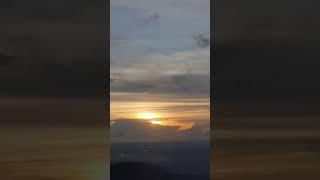 Fat Tortoiseshell Cat's Mum Watch Sunset. Kuching Gemuk Mama. 肥猫妈妈. Gato Gordo. Like my vlog thx 