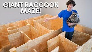 Building My Pet Raccoons a Giant Maze!