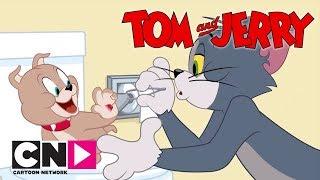 Kıymık | Tom ve Jerry Şov  | Boomerang Kuşağı