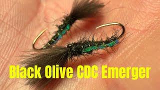 Black Olive - CDC Emerging Buzzer 🪰 #fishing #flytying #dryflyfishing #dryfly #flyfishing #trout