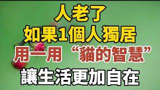 人老了，如果一個人獨居，用一用「貓的智慧」，就活通透了！【中老年心語】#養老 #幸福#人生 #晚年幸福 #深夜#讀書 #養生 #佛 #為人處世#哲理