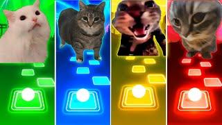 Coffin Dance Cat vs Oiiaoiia Cat vs Doorbell Cat vs Chipi Chipi Chapa Chapa Cat - Tiles Hop EDM Rush