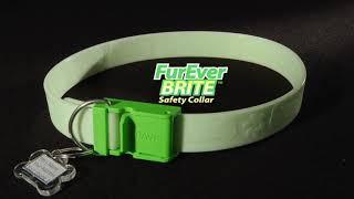 Davis FurEver BRITE SAFETY COLLAR светящийся ошейник для собак