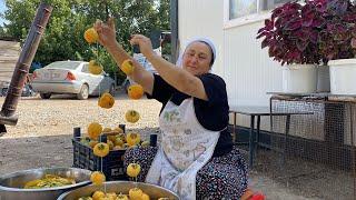 DIŞARIDA VE EV ORTAMINDA CENNET HURMASI NASIL KURUTULUR 