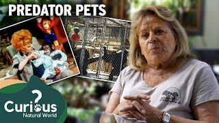 When Cute Goes Wrong: The Brutal Truth About Chimpanzee Pets | Predator Pets