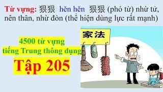 4500 từ vựng tiếng Trung thông dụng - Tập 205