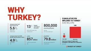 Top 10 Reasons to Invest Your Money in Turkey