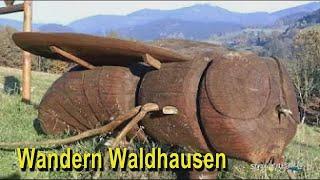 Wanderbares Waldhausen im Strudengau