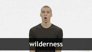 How to pronounce WILDERNESS in American English