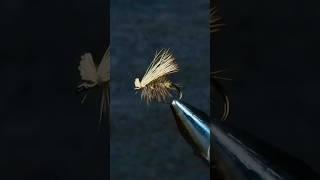 Most Popular Dry Fly on the Planet | Elk Hair Caddis | Fly Tying Tutorial #flytying #flyfishing