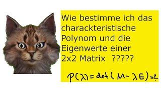 Charackteristisches Polynom und Eigenwerte einer 2x2-Matrix schnell bestimmen