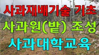 사과재배기술 기초 사과원 조성방법 사과밭 만들기 사과농사 기초 사과대학교육