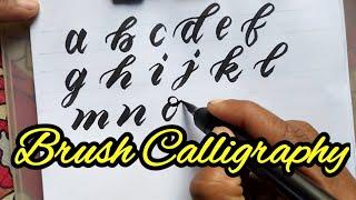 Brush Calligraphy Alphabets atoz | Lowercase | Calligraphy for begineers | Rua sign writing