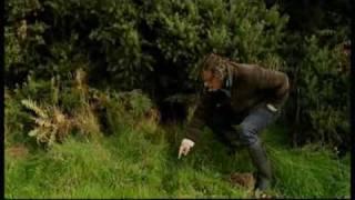 River Cottage | Hugh Fearnley-Whittingstall | Rabbits!