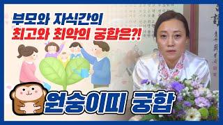 부모와 자식간의 띠별궁합 원숭이띠부모는 무슨띠 자식을 낳으면 호강할까?