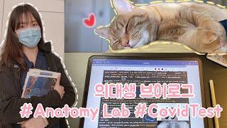 Eng) 미국 의대생 브이로그 ㅣ해부학 실습ㅣ혼자 코로나 테스트하기ㅣUS Med Student l First Anatomy Lab l Self-Covid test