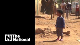 UN sounds alarm after Tigray refugees 'resort to eating leaves'