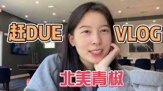 【北美青椒】赶Due日记｜我和我的拖延症｜Deadline让我无处可逃｜SSCI期刊论文修改