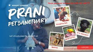 Into the Wild: A Journey through Prani Pet Sanctuary Bangalore| @NomadicWandererKSG