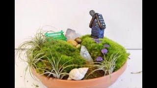 DIY Fairy Garden with Live Moss Tutorial