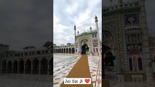 Nakodar Darbar Sai laddi Shah ji #nakodadarbar #sailaddishahji #jaisaiji #jaipeerandi #ytshorts