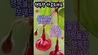 행복한 아침! 즐겁고 행복한 일요일 보내세요 건강하세요 사랑합니다 화이팅^^